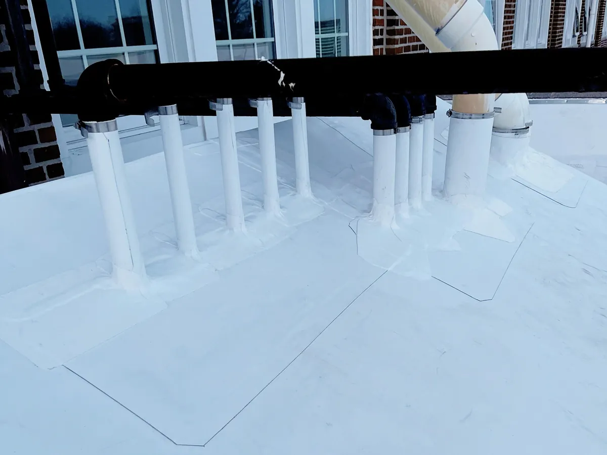 Row of pipe penetrations individually flashed with TPO membrane on a commercial flat roof