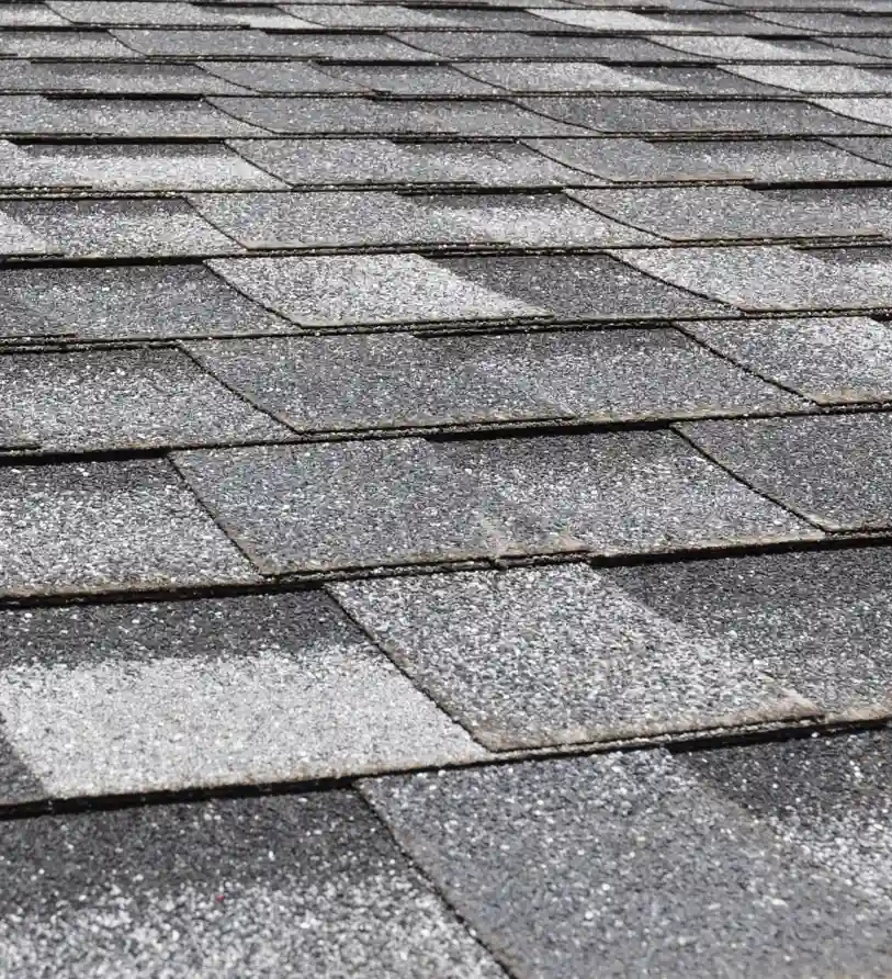 NJ Asphalt Shingles