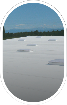 TPO (Thermoplastic Polyolefin)
